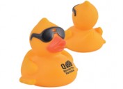LN1033 Cool PVC Bath Duck (INDENT)